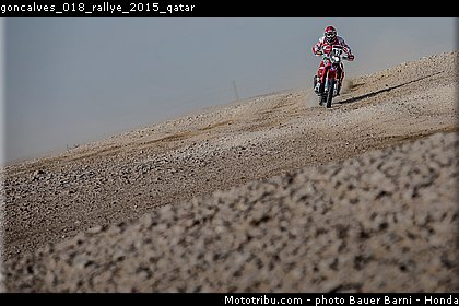 goncalves_018_rallye_2015_qatar.jpg