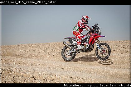 goncalves_019_rallye_2015_qatar.jpg
