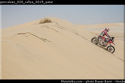 goncalves_020_rallye_2015_qatar.jpg