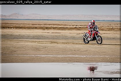 goncalves_025_rallye_2015_qatar.jpg