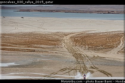 goncalves_030_rallye_2015_qatar.jpg