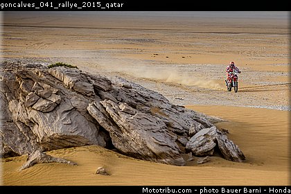 goncalves_041_rallye_2015_qatar.jpg