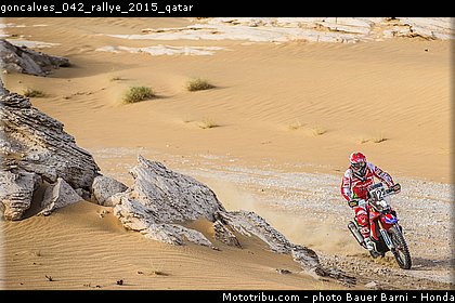 goncalves_042_rallye_2015_qatar.jpg