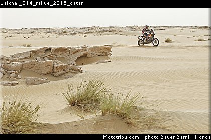 walkner_014_rallye_2015_qatar.jpg