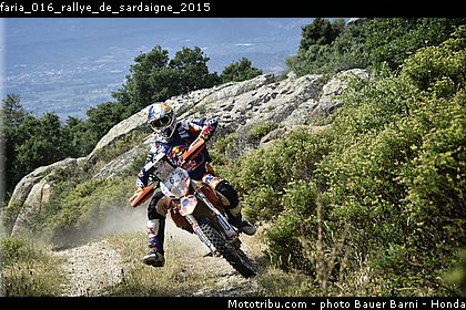 faria_016_rallye_de_sardaigne_2015.jpg