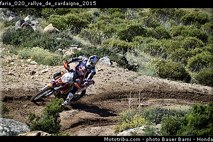 faria_020_rallye_de_sardaigne_2015.jpg