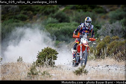 faria_025_rallye_de_sardaigne_2015.jpg
