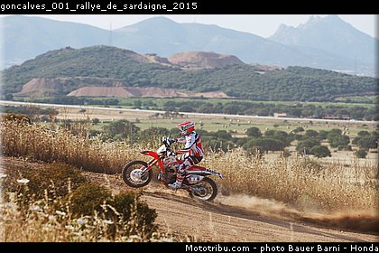 goncalves_001_rallye_de_sardaigne_2015.jpg