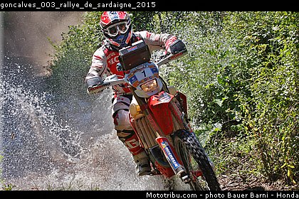 goncalves_003_rallye_de_sardaigne_2015.jpg