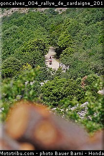 goncalves_004_rallye_de_sardaigne_2015.jpg