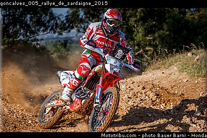 goncalves_005_rallye_de_sardaigne_2015.jpg