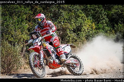goncalves_011_rallye_de_sardaigne_2015.jpg