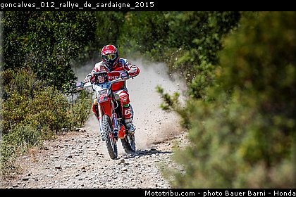 goncalves_012_rallye_de_sardaigne_2015.jpg