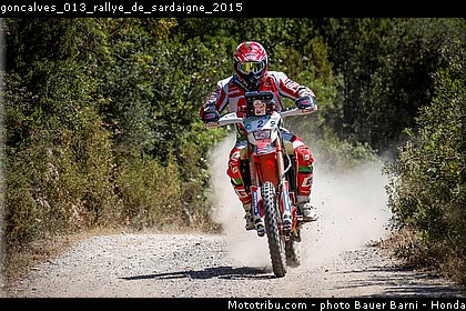 goncalves_013_rallye_de_sardaigne_2015.jpg