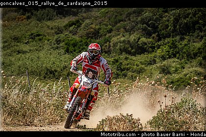 goncalves_015_rallye_de_sardaigne_2015.jpg