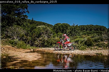 goncalves_018_rallye_de_sardaigne_2015.jpg