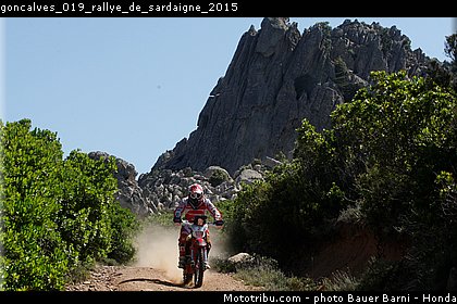 goncalves_019_rallye_de_sardaigne_2015.jpg