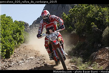 goncalves_020_rallye_de_sardaigne_2015.jpg