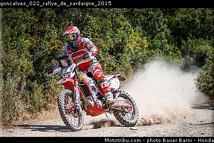 goncalves_022_rallye_de_sardaigne_2015.jpg
