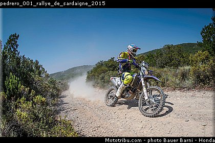 pedrero_001_rallye_de_sardaigne_2015.jpg
