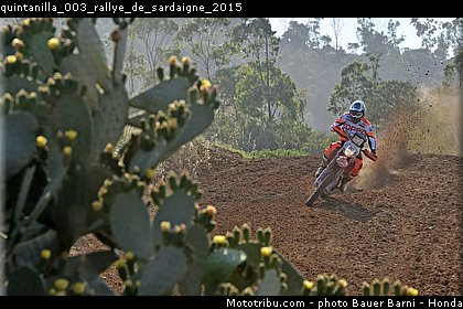 quintanilla_003_rallye_de_sardaigne_2015.jpg