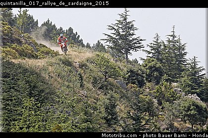 quintanilla_017_rallye_de_sardaigne_2015.jpg
