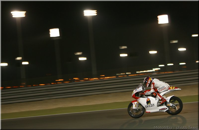 bradl_1