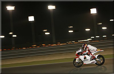 bradl_1.jpg