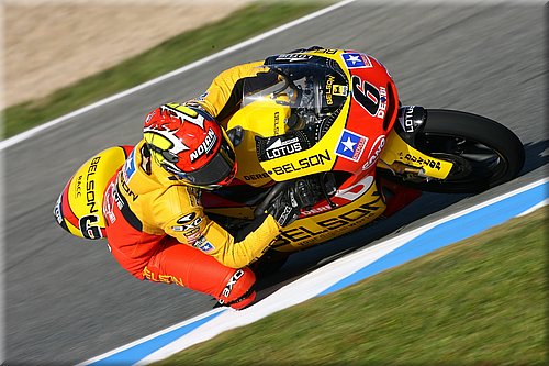 125-olive-jerez2008_2.jpg