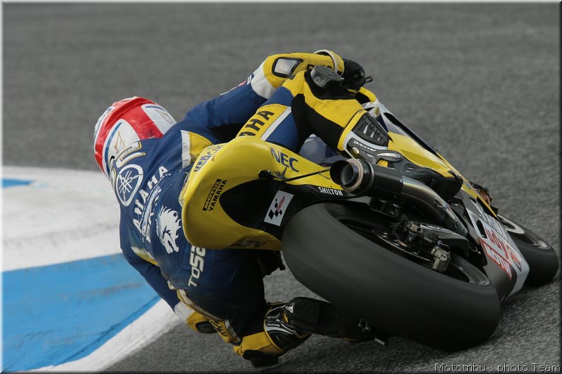 toseland_12