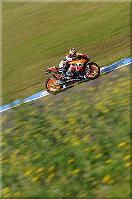 pedrosa_16.jpg