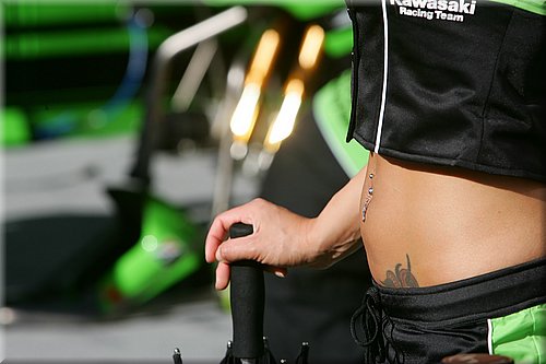 pitbabes_01.jpg