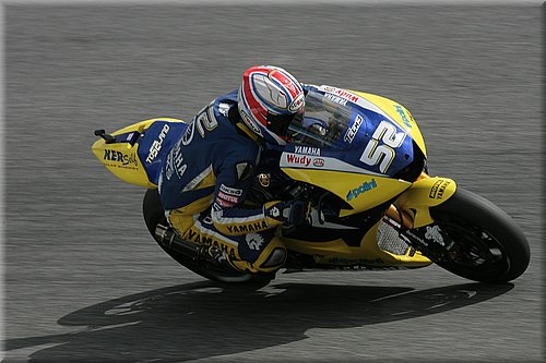 toseland_16.jpg