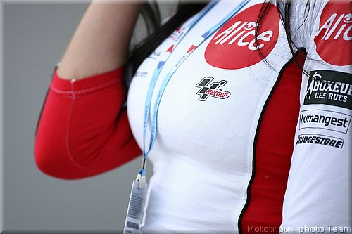 pitbabes_03.jpg