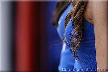 mgp-pitbabes_13.jpg
