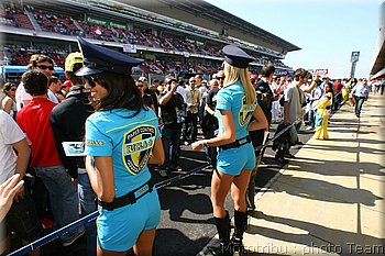 mgp-pitbabes_14.jpg