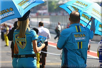 mgp-pitbabes_15.jpg