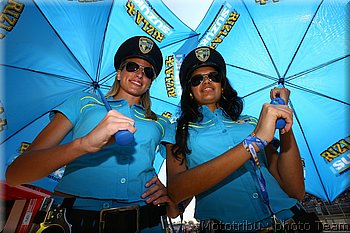 mgp-pitbabes_16.jpg
