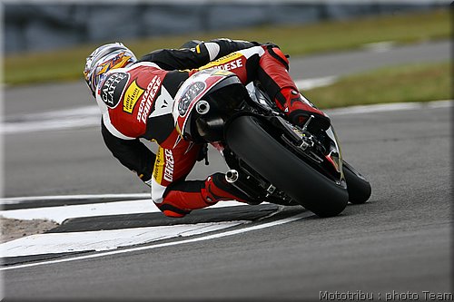 250-luthi_3.jpg