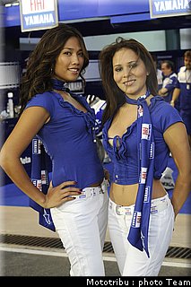 pitbabes_012.jpg