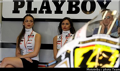 pitbabes_03.jpg