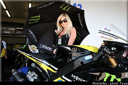 pitbabes_14.jpg