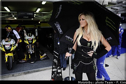 pitbabes_06.jpg