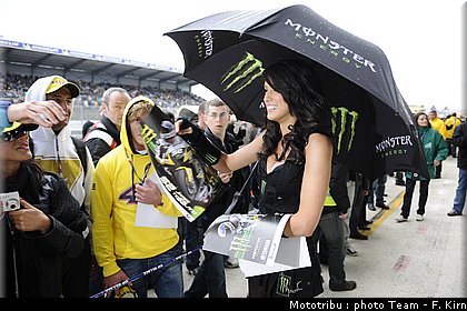 pitbabes_08.jpg