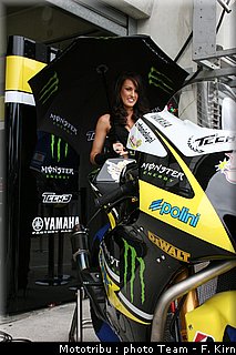 pitbabes_11.jpg