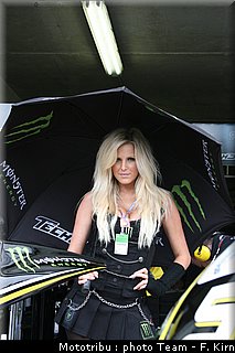 pitbabes_12.jpg
