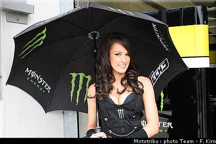 pitbabes_14.jpg