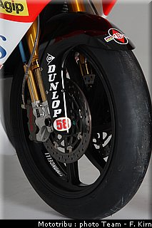 250_simoncelli_35.jpg