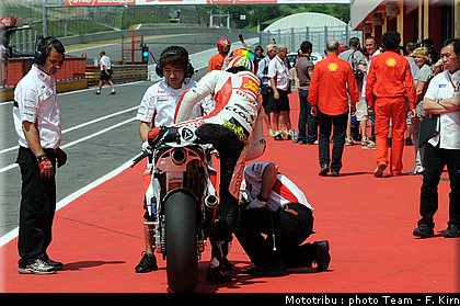 mgp_deangelis_16.jpg
