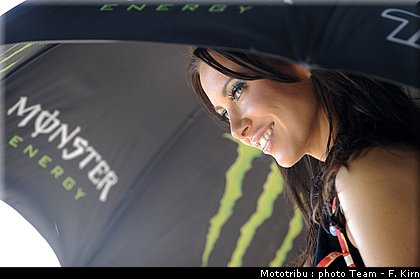 pitbabes_020.jpg